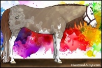 Horse Color:Chestnut Ice Sabino Splash 