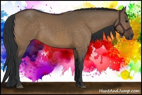Horse Color:Bay Dun