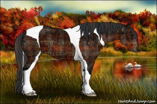 Horse Color:Plaid Bay Ice Tobiano