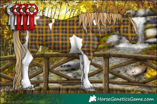 Horse Color:Plaid Liver Chestnut Tobiano