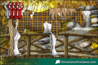 Horse Color:Plaid Liver Chestnut Tobiano