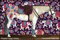 Horse Color:Buckskin Dun Splash 