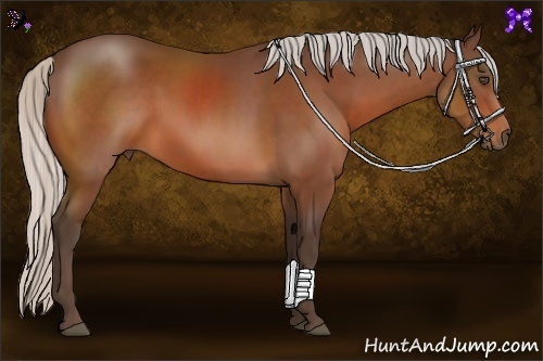 Horse Color:Silver Bay 