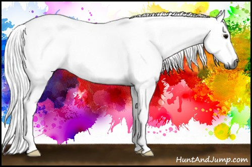 Horse Color:Gray Silver Black 