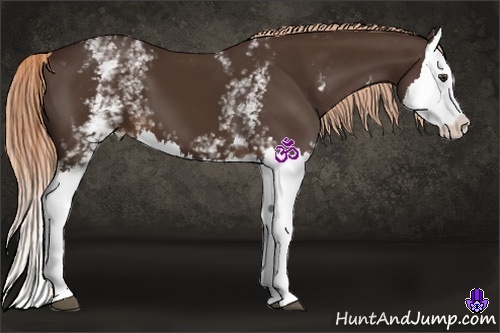 Horse Color:White Spotted Liver Chestnut Splash 