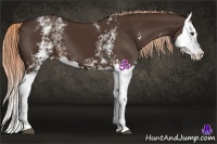 Horse Color:White Spotted Liver Chestnut Splash 