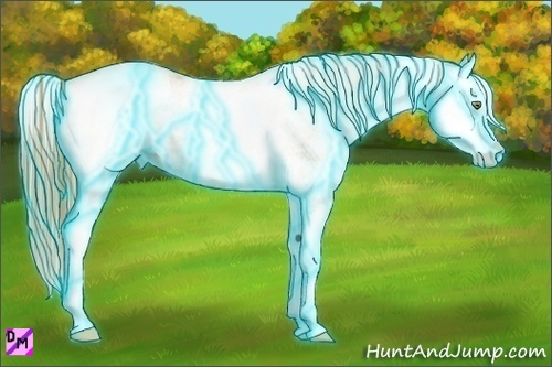 Horse Color:Thunderstruck White Spotted Gold Champagne Splash 