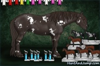 Horse Color:White Spotted Liver Chestnut Sabino 
