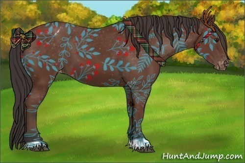 Horse Color:Bay Appaloosa 
