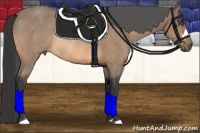 Horse Color:Buckskin Rabicano