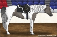 Horse Color:Smoky Grullo Tobiano