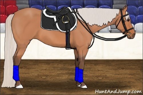 Horse Color:Silver Bay 