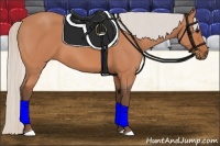 Horse Color:Silver Bay 