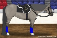 Horse Color:Smoky Grullo 