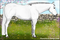 Horse Color:Gray Silver Bay 