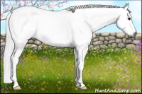 Horse Color:Gray Silver Black 