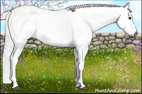 Horse Color:Gray Brown 