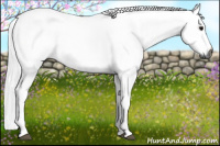 Horse Color:Gray Brown 