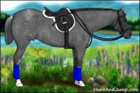 Horse Color:White Spotted Blue Roan 
