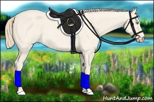 Horse Color:Perlino Roan 