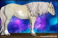 Horse Color:White Spotted Silver Amber Champagne Ice Dun 