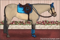 Horse Color:Buckskin Dun