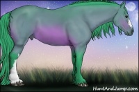Horse Color:Watercolor Bay 