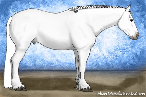 Horse Color:Gray White Spotted Black Splash Tobiano Varnish 