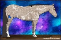 Horse Color:Classic Champagne Ice 