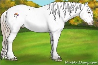 Horse Color:Liver Chestnut Near Fewspot