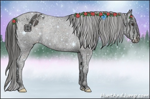 Horse Color:Liver Chestnut Varnish Rabicano