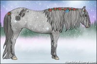 Horse Color:Liver Chestnut Varnish Rabicano 