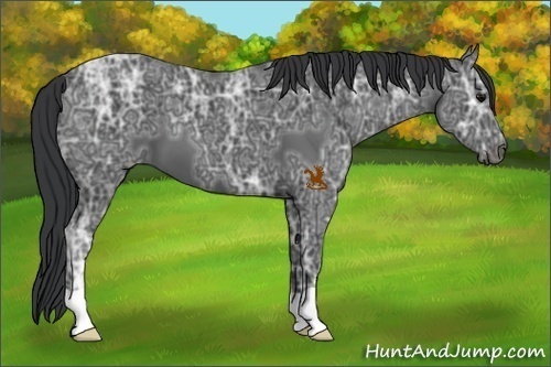 Horse Color:Black Ice 