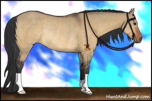 Horse Color:Bay Dun Rabicano 