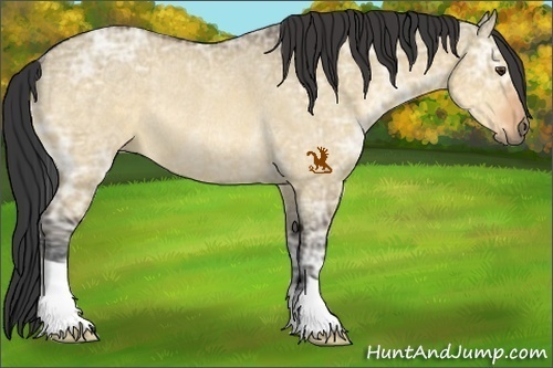 Horse Color:Buckskin Ice Dun Rabicano 