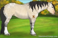 Horse Color:Buckskin Ice Dun Rabicano 