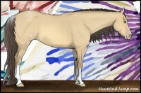 Horse Color:White Spotted Amber Cream Champagne Dun 