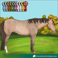 Horse Color:Amber Champagne Rabicano 