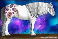 Horse Color:White Spotted Grullo 