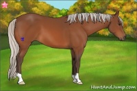 Horse Color:Silver Bay 