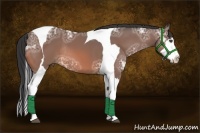 Horse Color:Bay Ice Splash Tobiano Rabicano