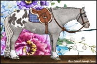 Horse Color:Silver Black Frame Appaloosa 