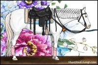 Horse Color:White Spotted Chestnut Pearl Splash 