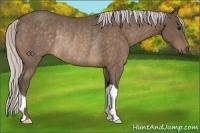 Horse Color:Silver Buckskin Rabicano 