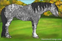 Horse Color:Black Ice