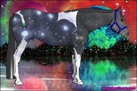 Horse Color:Black Tobiano 