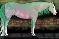 Horse Color:Watercolor Bay Ice Sabino Splash
