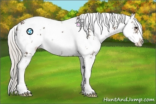 Horse Color:Silver Black Sabino 
