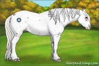 Horse Color:Silver Black Sabino