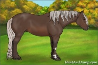 Horse Color:Silver Brown Frame 